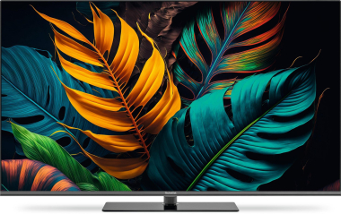 TechniSat TechniVison UHD50A sw LED-TV 