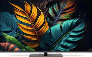 TechniSat TechniVison UHD55A sw LED-TV 