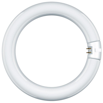 SUH Leuchtstofflampe Ring-Form T9  68816 