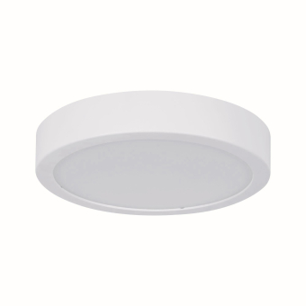 Paulmann WallCeiling HomeSpa Aviar 78923 