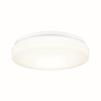 Paulmann WallCeiling HomeSpa Axin  78898 