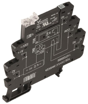 Weidmüller TOS 24VUC 48VDC0,1A Solid- 