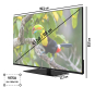 JVC LT-43VU6355 sw LED-TV FH 