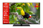 JVC LT-43VU6355 sw LED-TV FH 