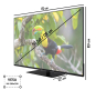 JVC LT-50VU6355 sw LED-TV FH 