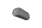 LG DXG5QGR gr XBOOM Go Bluetooth-Speaker 