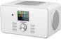 Grundig DTR 6000 X white Digitalradio 