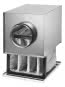 HELI Luftfilter-Box für      LFBR 250 G4 
