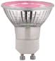 Paulmann LED Plant GU10 2,4W 230V  28974 