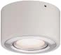 Paulmann WD Argun dim LED 1x4,8W   79708 