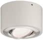 Paulmann WD Argun dim LED 1x4,8W   79708 