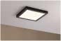 Paulmann WallCeiling Abia          70985 