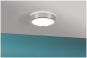 Paulmann WallCeiling HomeSpa Aviar 78922 