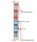 WAGO 750-614 Potentialvervielfältigung, 