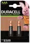 Duracell     D800AAA2B-PRECHARGED 203815 