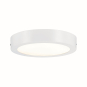 Paulmann WallCeiling Lunar LED     70642 