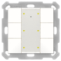 MDT BE-TA55P6.G2 Taster Plus 55 6-fach 