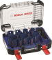 Bosch EXPERT Lochsäge         2608900448 