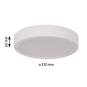 Paulmann WallCeiling HomeSpa Aviar 78923 