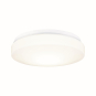 Paulmann WallCeiling HomeSpa Axin  78898 