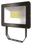 Esylux OFL BASIC LED 30W      EL10810701 