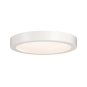 Paulmann WallCeiling Lunar LED     70643 