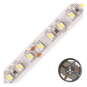 EVN LED-Strip IP54 24V/DC   SB5424602827 