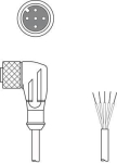 Leuze Anschlussltg.   KD U-M12-5W-P1-020 