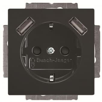 BJ Schuko/USB Steckdose   20 EUCB2USB-81 