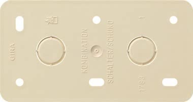 GIRA 008013 Montageplatte 2fach f.Kombi 