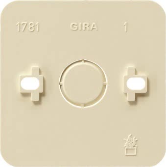 GIRA 008113 Montageplatte 1fach AP 