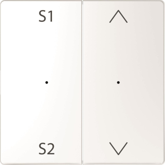 Merten Wippen Taster-Modul  MEG5227-6035 