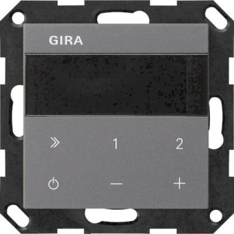 GIRA 232028 UP-Radio IP System 55 