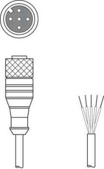 Leuze Anschlussltg.   KD U-M12-5A-V1-050 