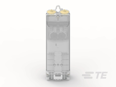 Rayc Sicherungskasten EKM-2050F-3D1-5S/S 