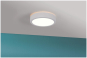 Paulmann WallCeiling HomeSpa Aviar 78924 