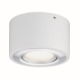 Paulmann WD Argun dim LED 1x4,8W   79708 