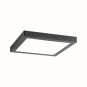 Paulmann WallCeiling Abia          70985 