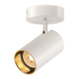 SLV ASTO TUBE Reflektor, gold    1006450 