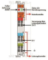 WAGO 750-610 Potentialeinspeisung,DC 24 