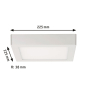 Paulmann WallCeiling Lunar LED     70645 